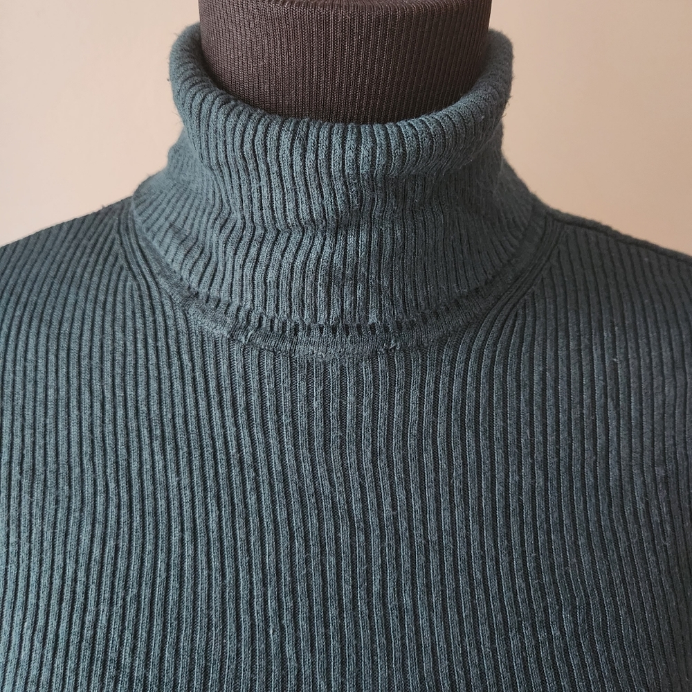 Express Turtleneck - Picture 4 of 6